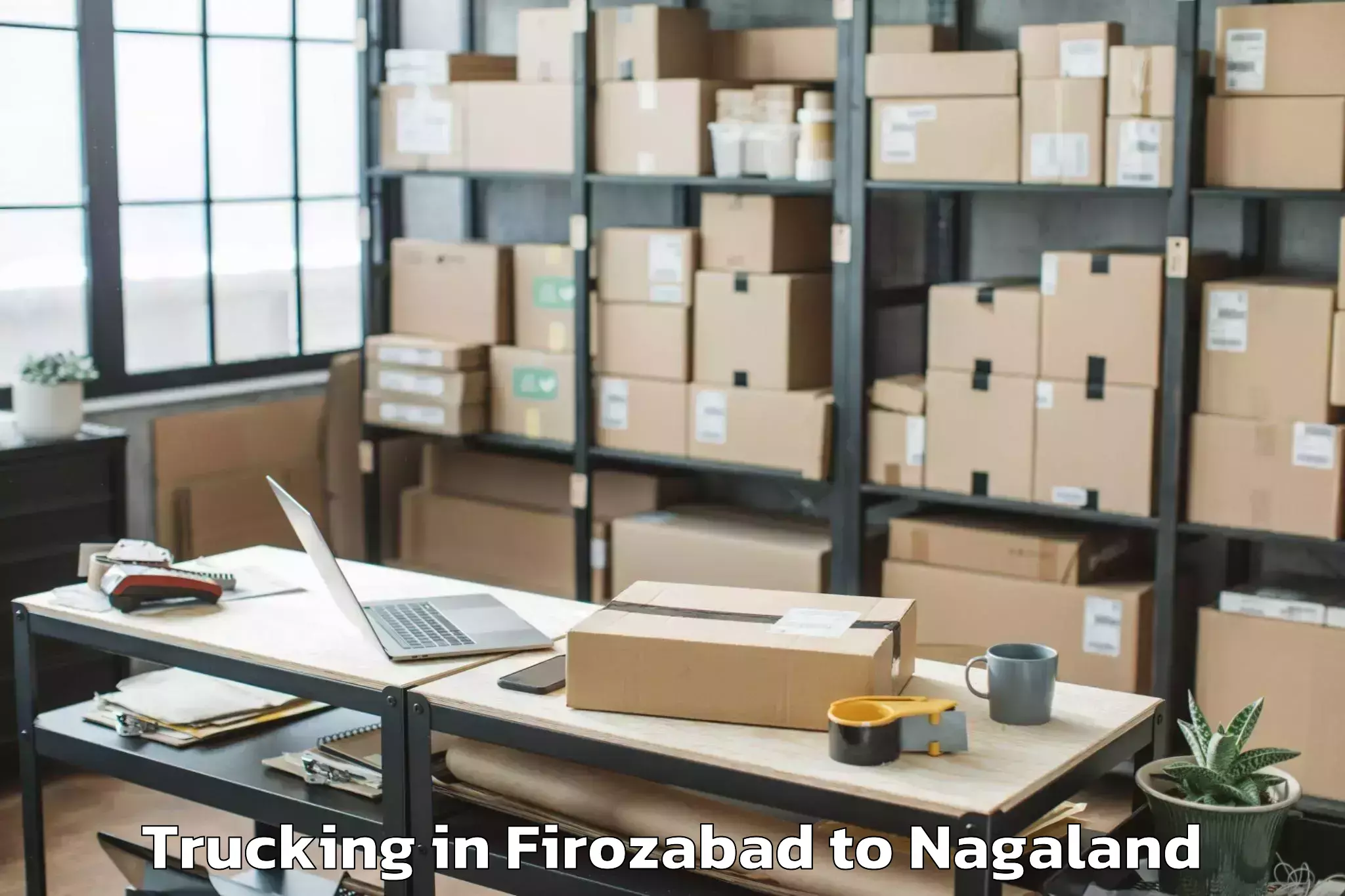 Leading Firozabad to Longchem Trucking Provider